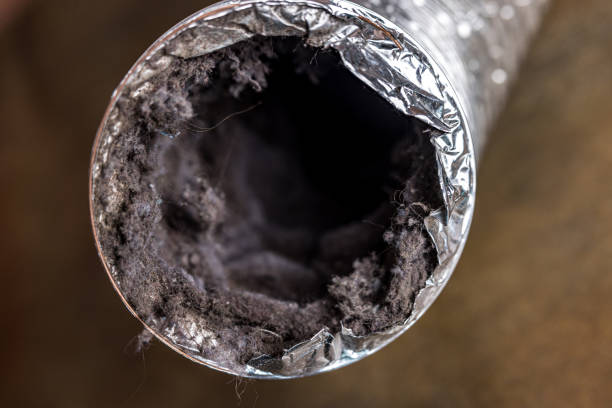 Best Best Air Duct Cleaning Company  in Mcfarland, WI